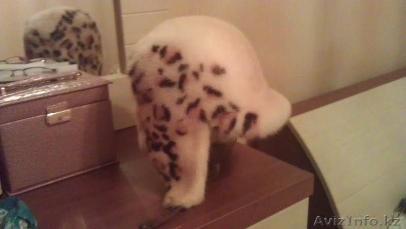 продам шубу и шапку норковую - Изображение #2, Объявление #747218