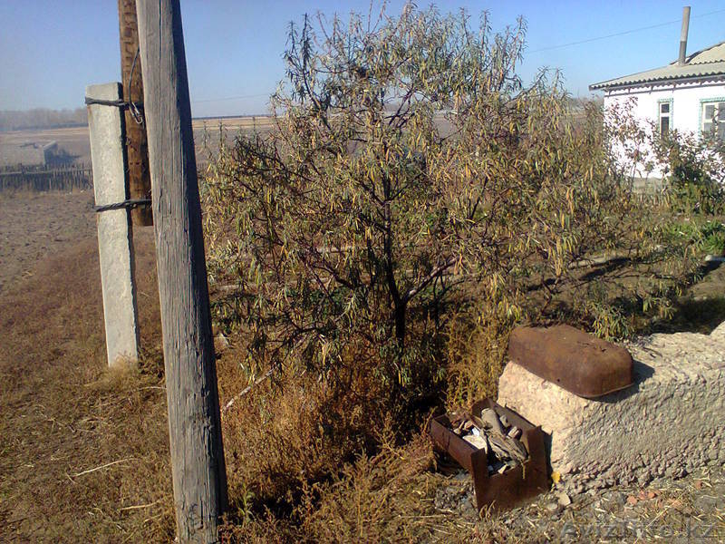 Дом с.Рождественка (по-новому Кабанбай батыра)	35000у.e.  - Изображение #8, Объявление #772457