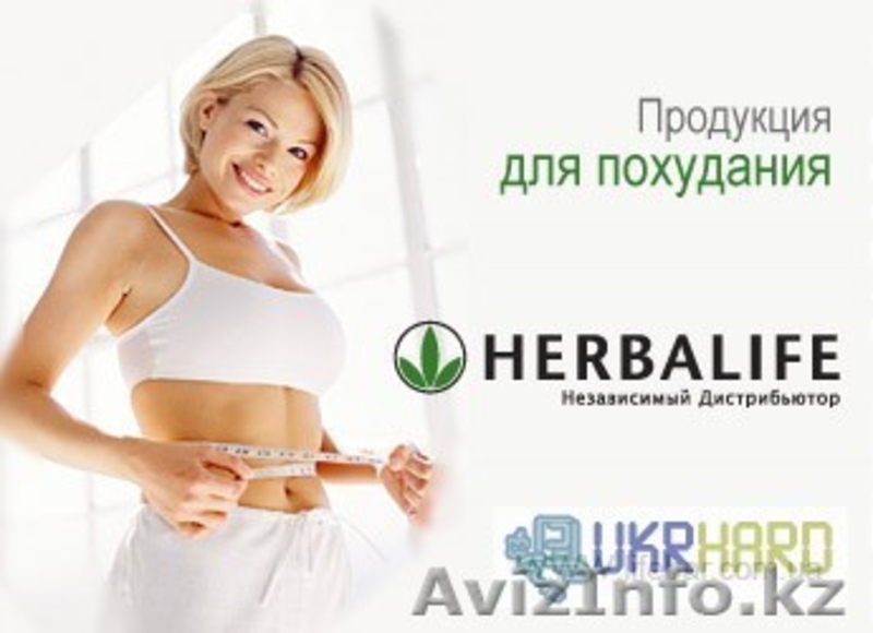  Независимый дистрибьютор  компании Гербалайф!Алое, мультивитамины! - Изображение #2, Объявление #795409