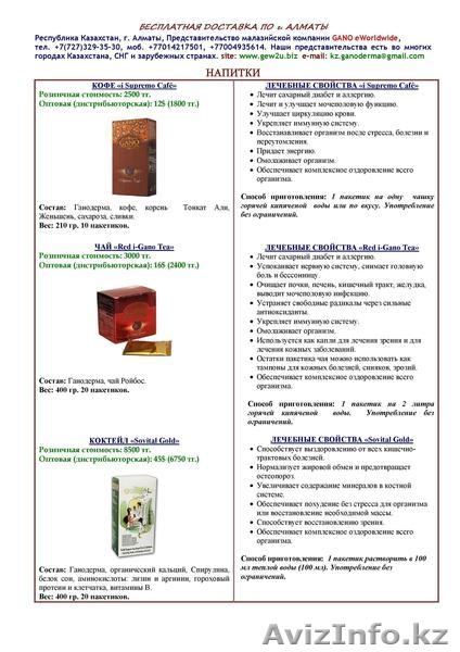 Представительство GANO eWorldwide в Казахстане - Изображение #3, Объявление #814838