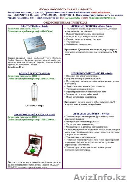 Представительство GANO eWorldwide в Казахстане - Изображение #4, Объявление #814838