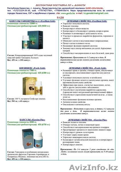 Представительство GANO eWorldwide в Казахстане - Изображение #1, Объявление #814838