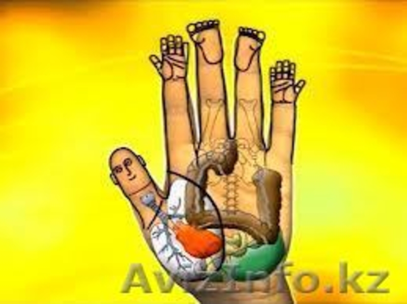 Помощь врачам и пациент!ЛЕЧЕНИЕ ПАРАЗИТОВ и ВИРУСОВ у людей и домашних животных. - Изображение #2, Объявление #830166