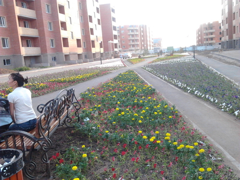 Теплая квартира, с удобной планировкой.  - Изображение #1, Объявление #841410