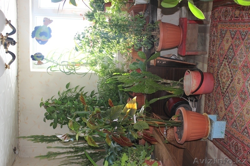 Продам дом в Тельмана - Изображение #10, Объявление #818313