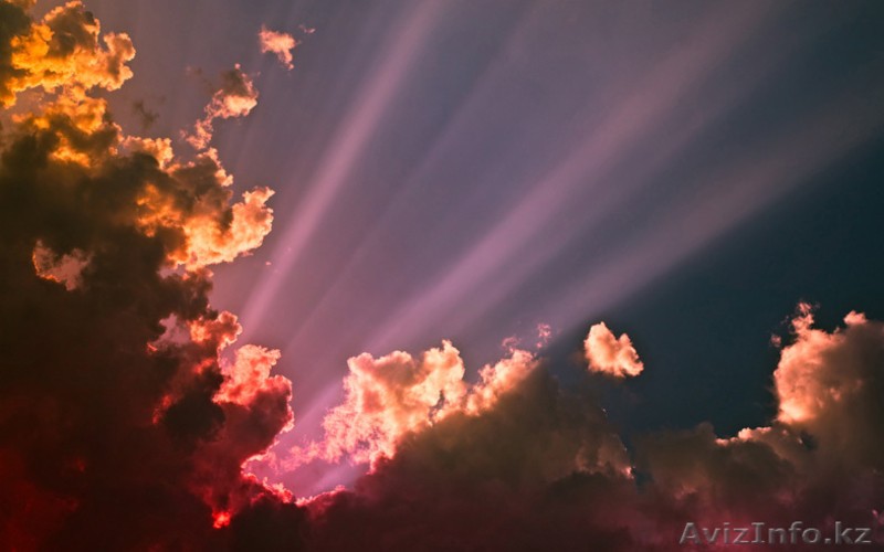 SELDS and COMPANY - Изображение #6, Объявление #637168