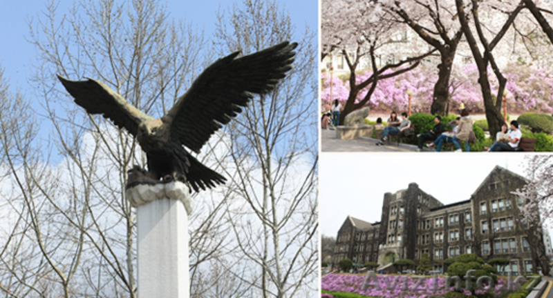 ОБУЧЕНИЕ  В ЮЖНОЙ КОРЕЕ - Изображение #3, Объявление #851659