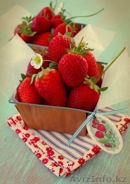 Овощи и фрукты в любом количестве и в хорошем качестве - Изображение #1, Объявление #870626