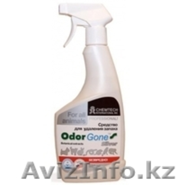 Odorgone--профессиональное средство для удаления запах  меток животных - Изображение #2, Объявление #886759