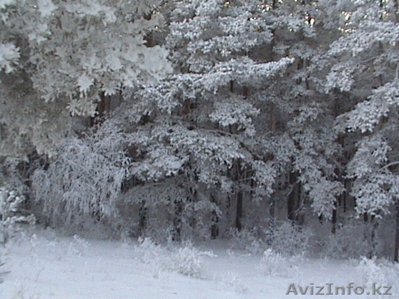 Продам дом в курортной зоне с.Макинка в 180 км от г.Астана - Изображение #2, Объявление #896399