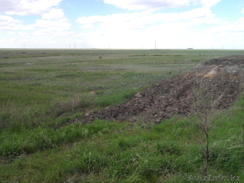 Срочная распродажа зем. участка п. Талапкер - Изображение #1, Объявление #901288