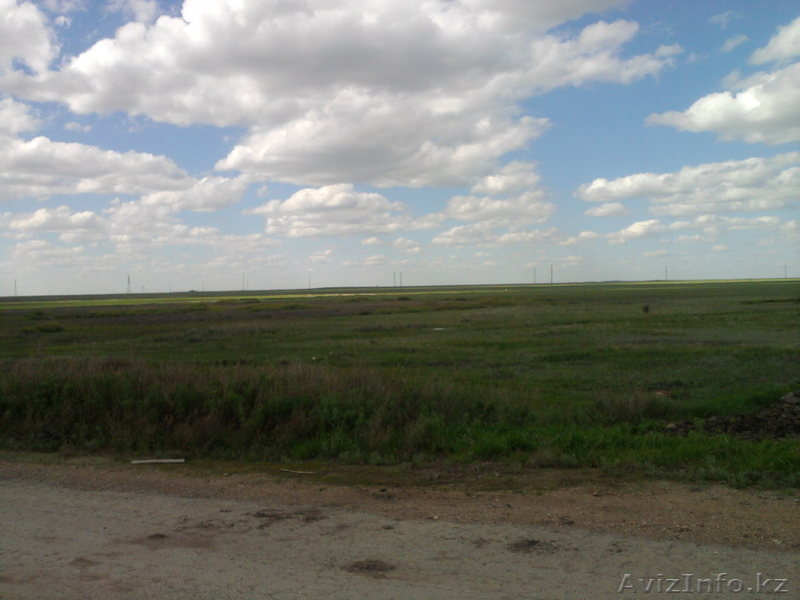 Срочная распродажа зем. участка п. Талапкер - Изображение #2, Объявление #901288