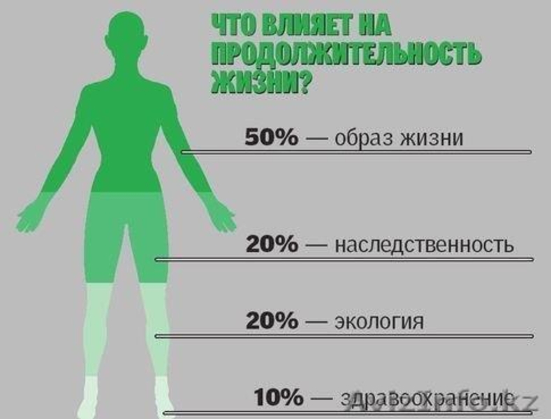 Избавление от похмелья с Баобаб Лайф в Петропавловске - Изображение #5, Объявление #896719