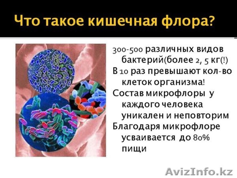 Избавление от похмелья с Баобаб Лайф в Петропавловске - Изображение #6, Объявление #896719