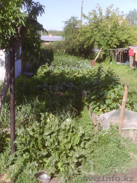 Котедж в Макинске - Изображение #4, Объявление #920092