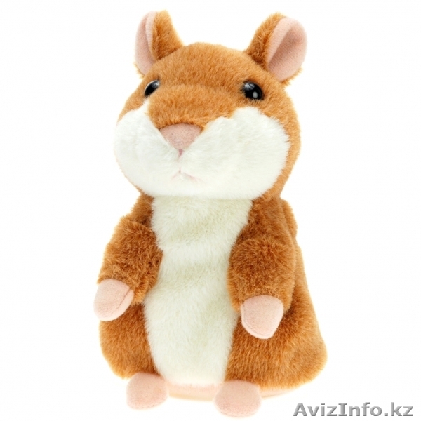 Говорящий хомяк! + подарок! - Изображение #1, Объявление #996039