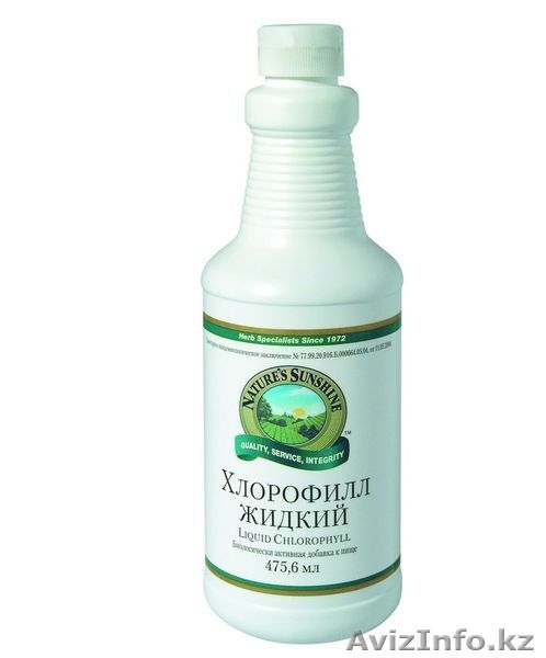 Алоэ Вера,НСП.хлорофилл,молочный чертополох,черный грецкий орех, - Изображение #3, Объявление #1000314