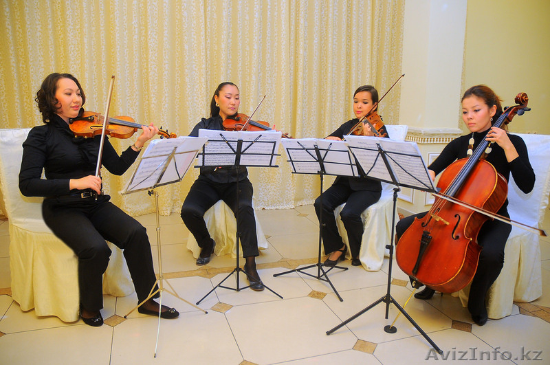 Скрипачка Luiza и Струнный квартет  - Изображение #5, Объявление #994891