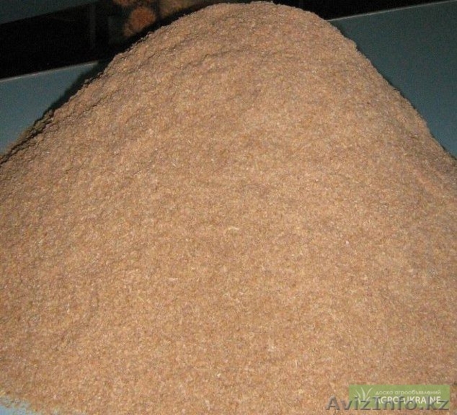 Продам соль (техническая, пищевая), отруби пшеничные, контейнера,а также лошадей - Изображение #2, Объявление #993166