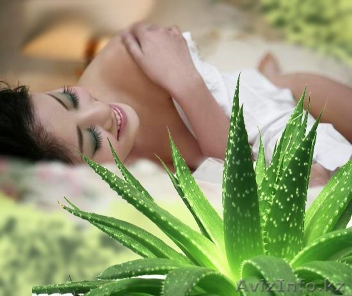 Aloe 94 % Алое гель 94% - успокаивающий гель для кожи. - Изображение #5, Объявление #1027836