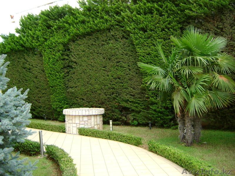 Аристократическая вилла в Афинах - Изображение #2, Объявление #1014795