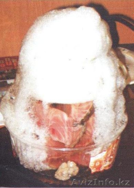 ОЗОНАТОР - Изображение #3, Объявление #515583