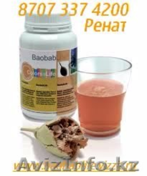 Баобаб Лайф в Петропавловске для маленьких детей до 6 лет - Изображение #9, Объявление #896699