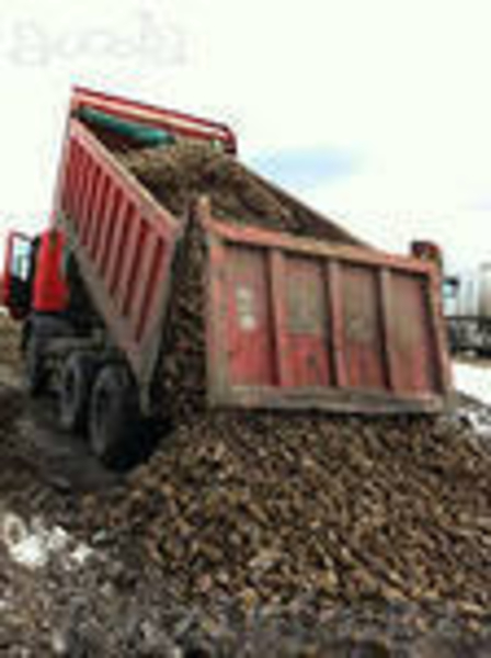 Грузоперевозки, самосвалы - Изображение #2, Объявление #1082162