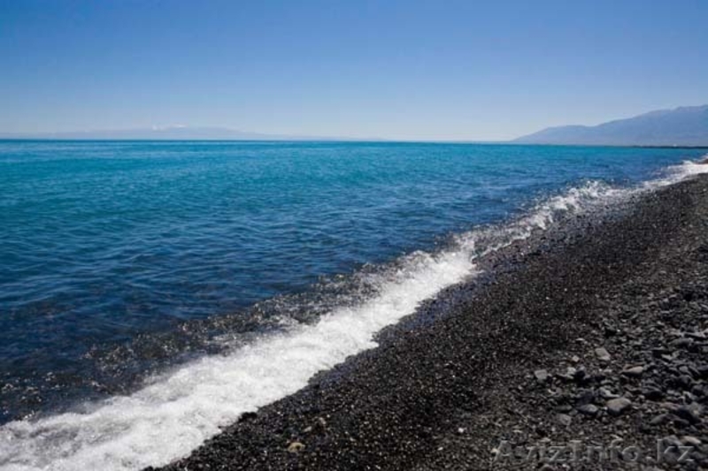 незабываемый отдых на Алаколе - Изображение #3, Объявление #1108339