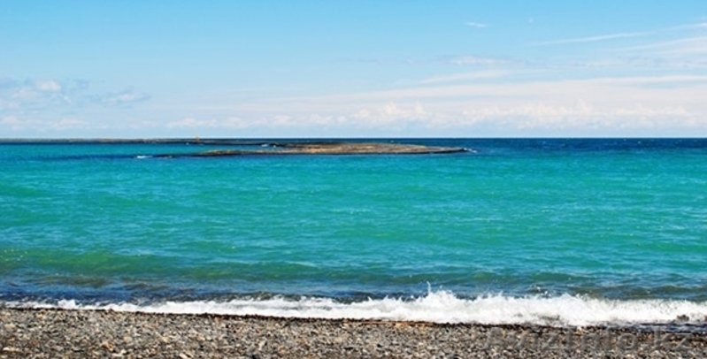 незабываемый отдых на Алаколе - Изображение #1, Объявление #1108339