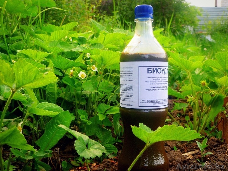 Удобрение БиоУд-1 - Изображение #3, Объявление #1102795