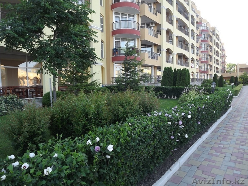 Прекрасная студия в Болгарии на продажу - Изображение #2, Объявление #1139982