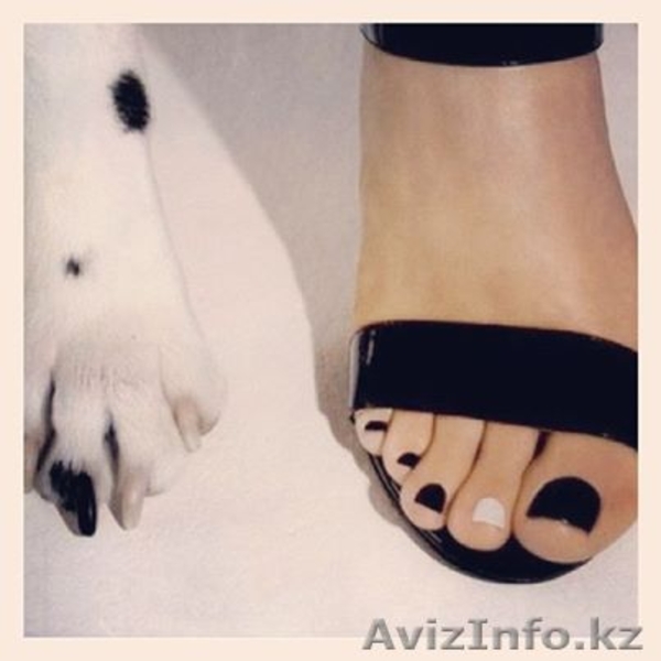 Мобильный салон красоты Crocodile - Изображение #3, Объявление #1167754