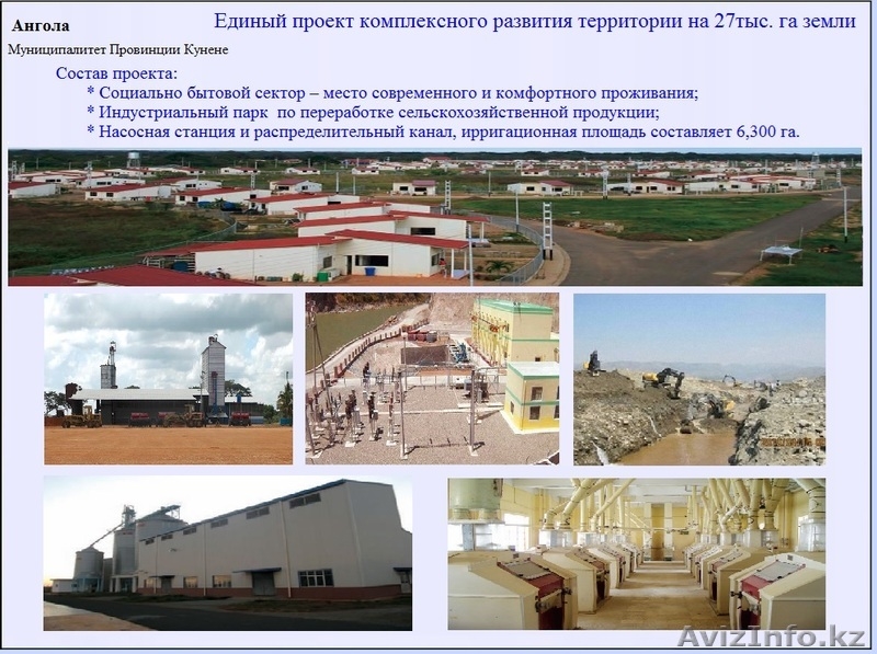 Комплексное внедрение Израильских инновационных технологий в сельское хозяйство - Изображение #4, Объявление #1157595