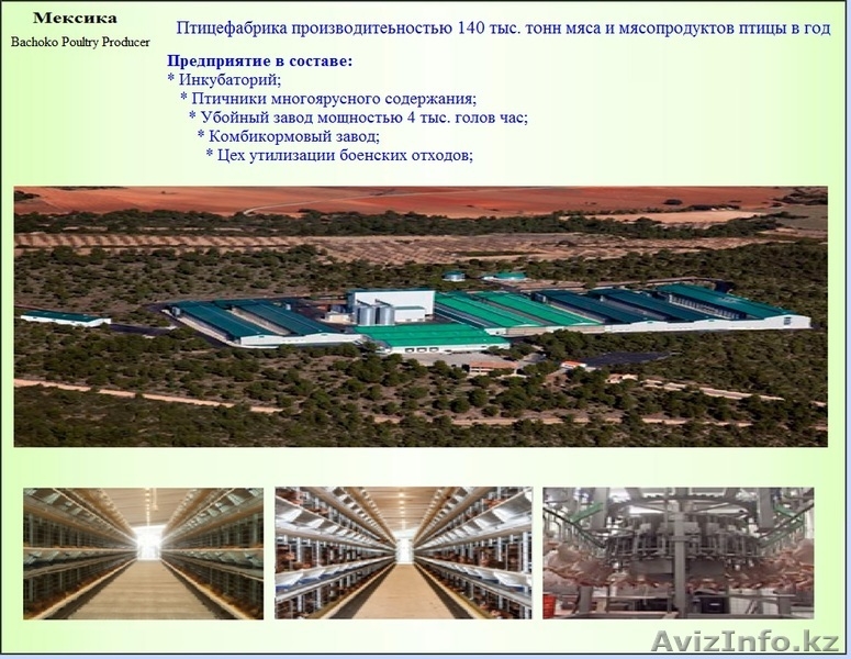 Комплексное внедрение Израильских инновационных технологий в сельское хозяйство - Изображение #5, Объявление #1157595