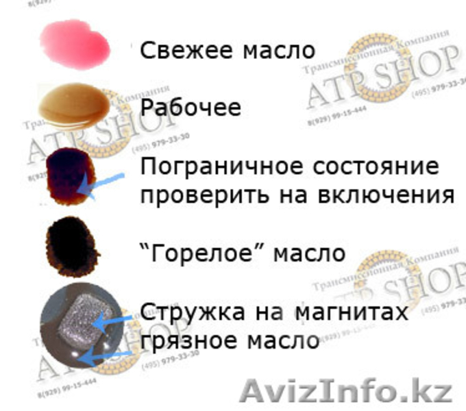Замена масла - в АКПП,  ДВС - Астана - Изображение #1, Объявление #1168520