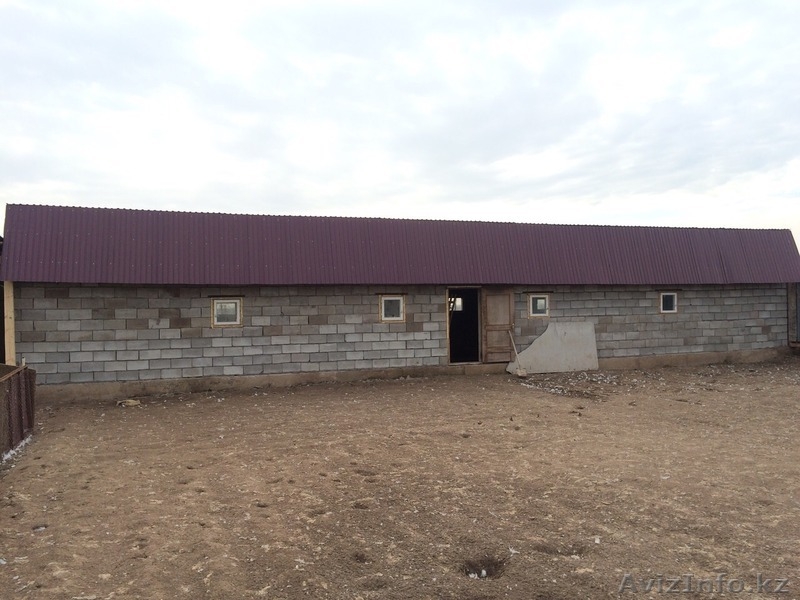  Дом в Жалтыр коле 25 км от Астаны по Карагандинской трассе. - Изображение #1, Объявление #1182335