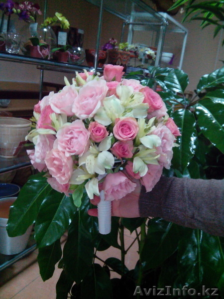 Цветочная компания ТОО Green Nature - Изображение #1, Объявление #1172861