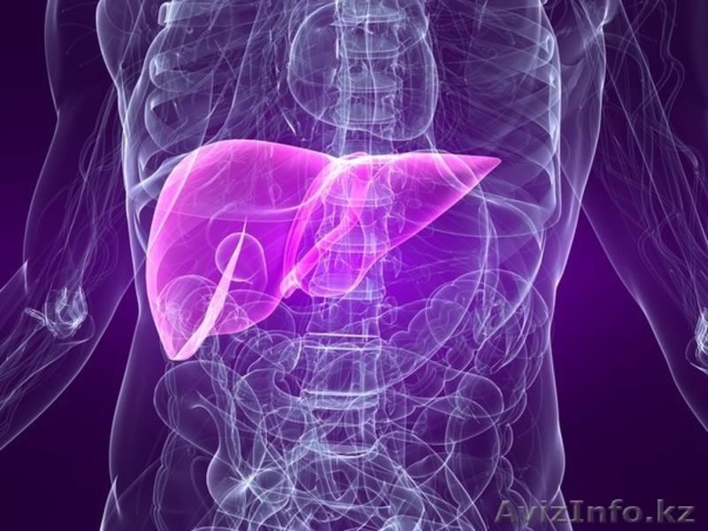 Здоровая печень или как восставновить печень? - Изображение #1, Объявление #1206358