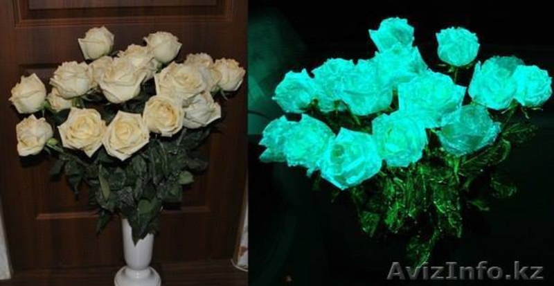 Предлагаем сотрудничество дилерам  - Изображение #4, Объявление #1218002