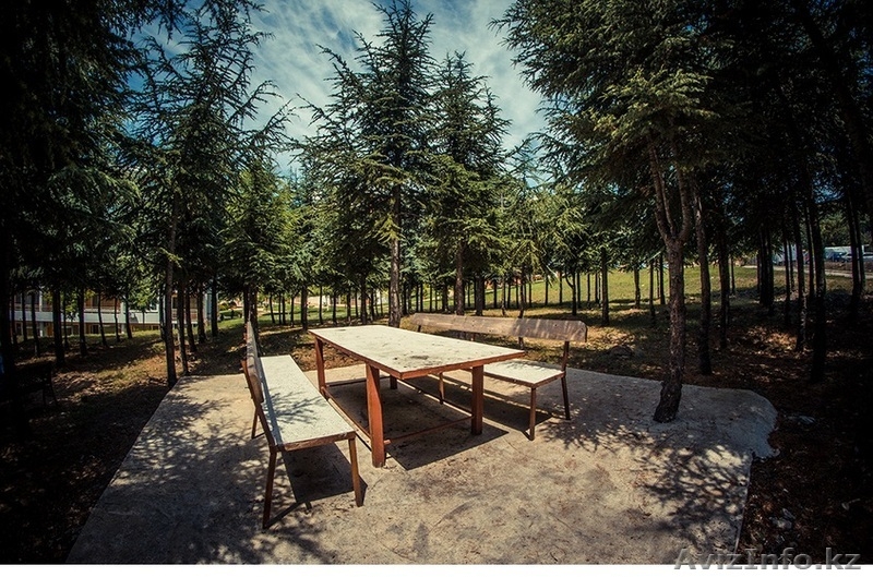 недвижимость в болгарии ,курортная - Изображение #3, Объявление #1225617