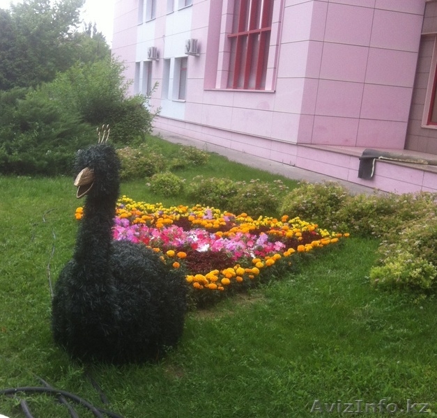 Топиари и световые конструкции - Изображение #3, Объявление #1231090