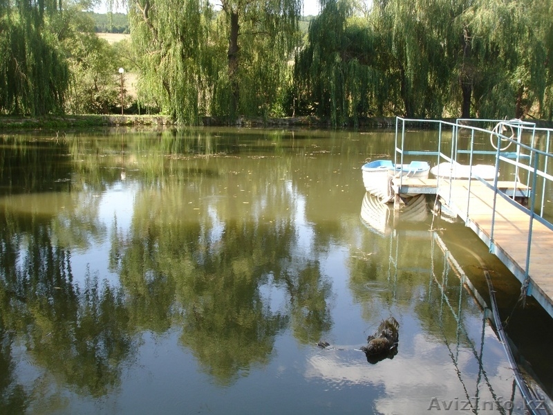 недвижимость в Болгари дом с винной избой и парником - Изображение #10, Объявление #1229309