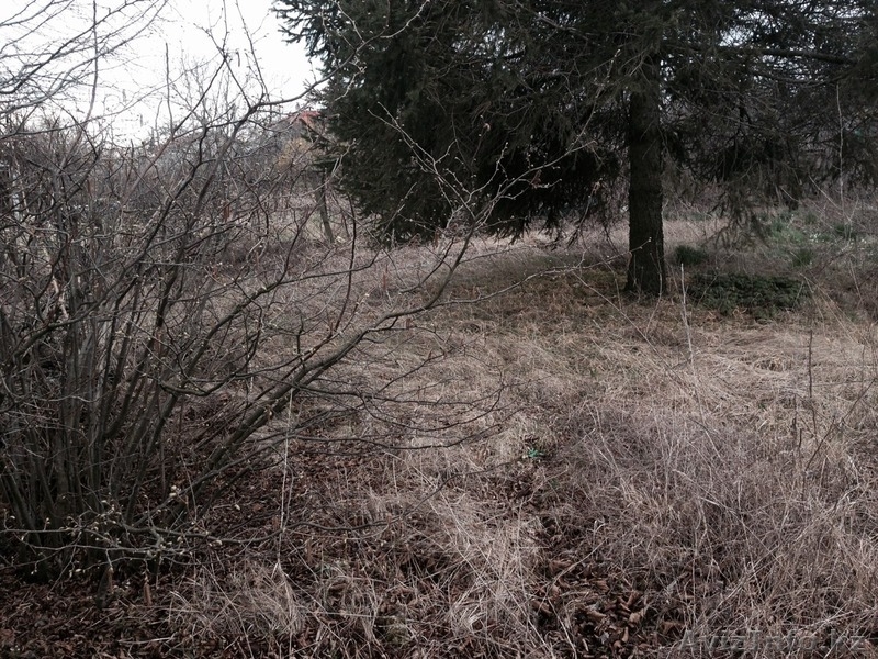 недвижимость в Болгари земельный участок местечко Добрева Чешма Варна - Изображение #2, Объявление #1243107