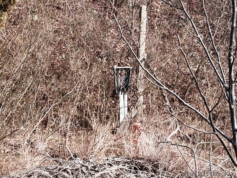 недвижимость в Болгари земельный участок в местечке Монастырский Рид Варна - Изображение #4, Объявление #1243105