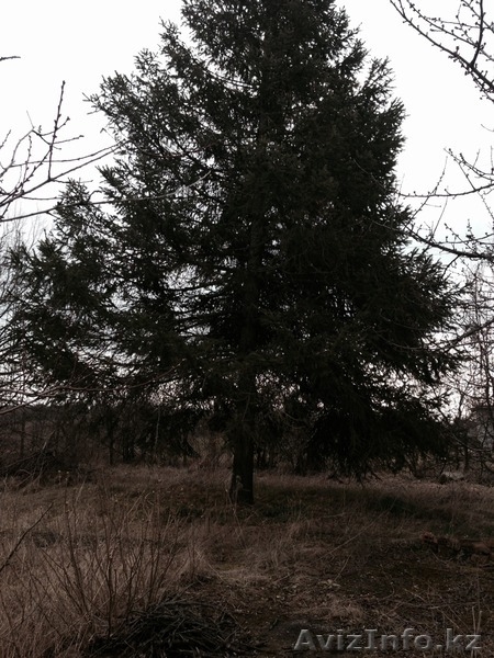 недвижимость в Болгари земельный участок местечко Добрева Чешма Варна - Изображение #6, Объявление #1243107