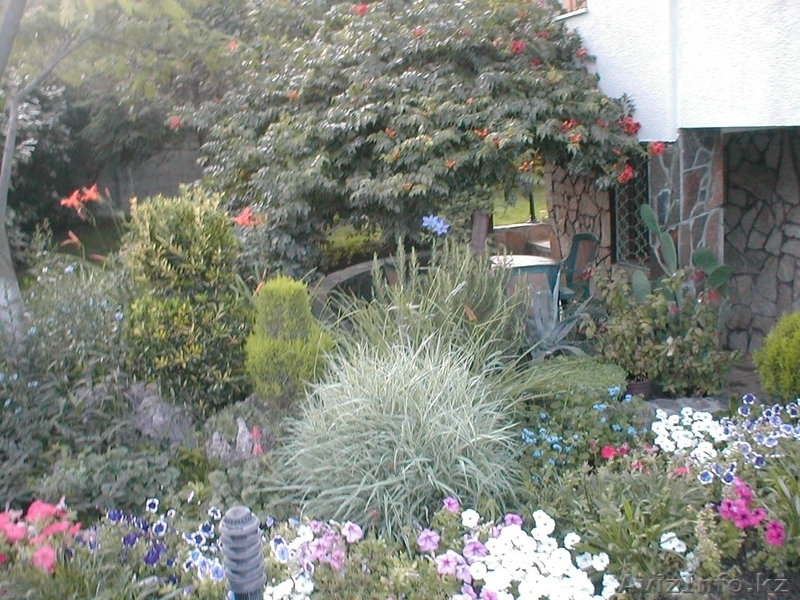 недвижимость в Болгари дом в местечке Траката в Варне - Изображение #4, Объявление #1229265