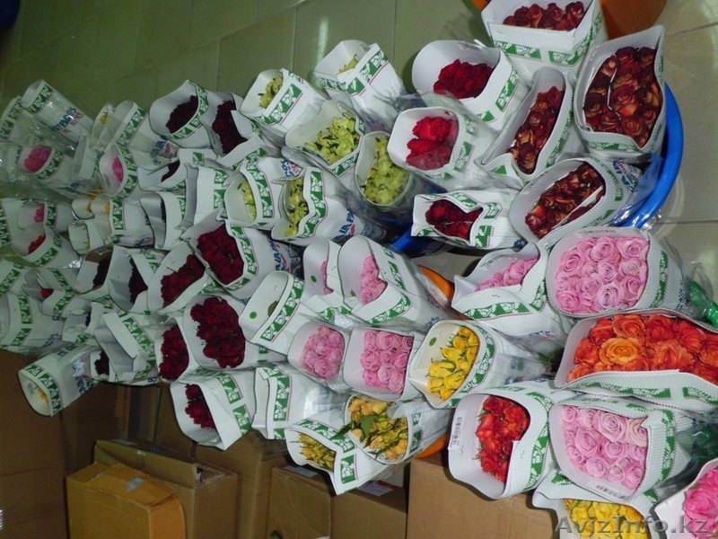 Цветы из Эквадора,купить розу недорого - Изображение #3, Объявление #1257414