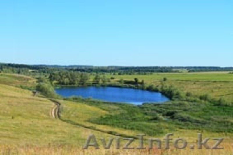 Продам дом в коттеджном поселке Новая Дубрава - Изображение #4, Объявление #1250244