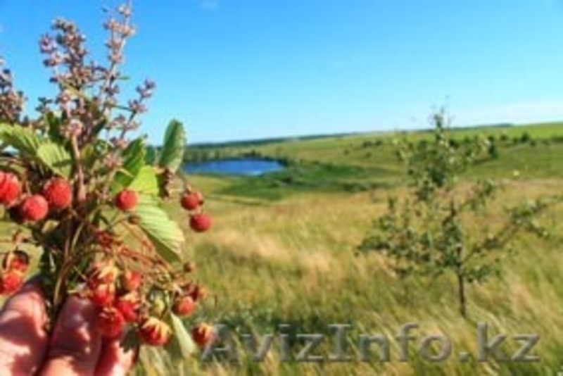 Продам дом в коттеджном поселке Новая Дубрава - Изображение #6, Объявление #1250244